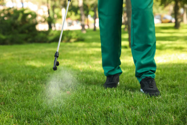 Best Pest Inspection Near Me  in Yellow Springs, OH