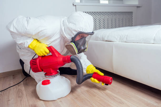 Best Local Pest Control Services  in Yellow Springs, OH
